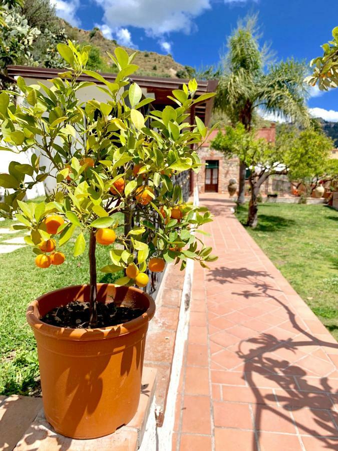 B&B Villa Vittoria Giardini Naxos Εξωτερικό φωτογραφία